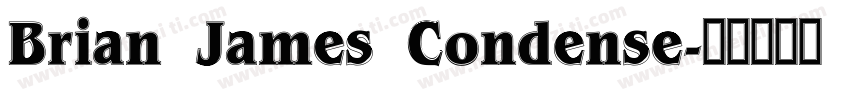 Brian James Condense字体转换